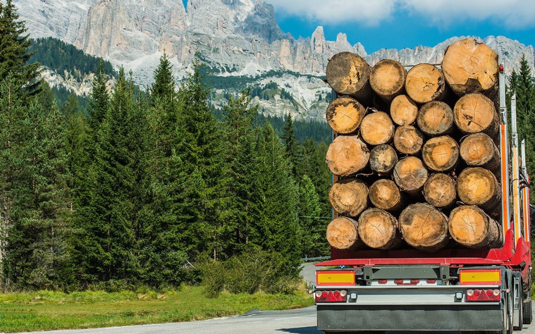 Experienced Logging Truck Accident Lawyers in Joplin – Hurt Trucker Attorneys